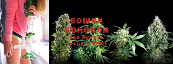 спайс Майский
